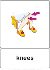 Bildkarte - knees.pdf